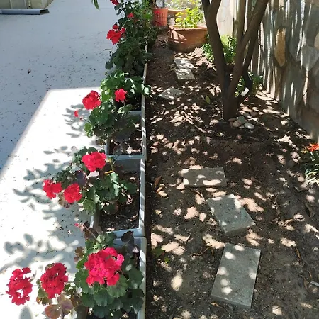 بيت للعطل Strati's Place PalaiónTsiflíkion